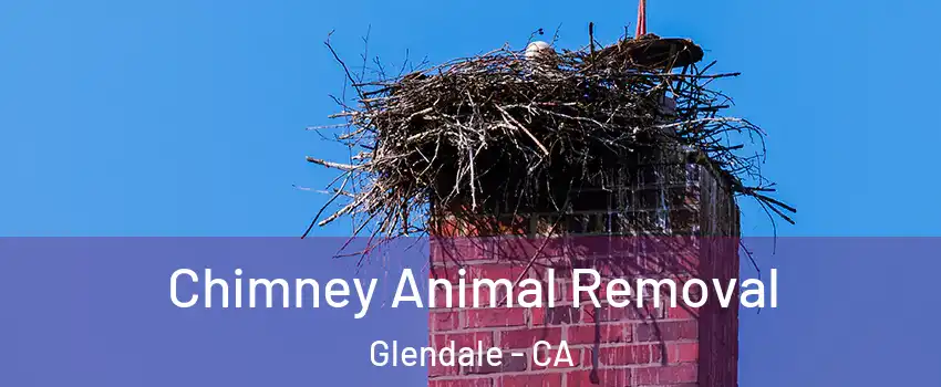 Chimney Animal Removal Glendale - CA