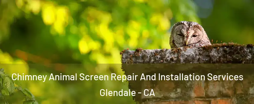  Chimney Animal Screen Repair And Installation Services Glendale - CA