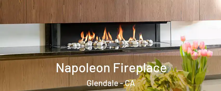  Napoleon Fireplace Glendale - CA